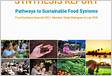 Pathways to Sustainable Food Systems in Lao PDR Report